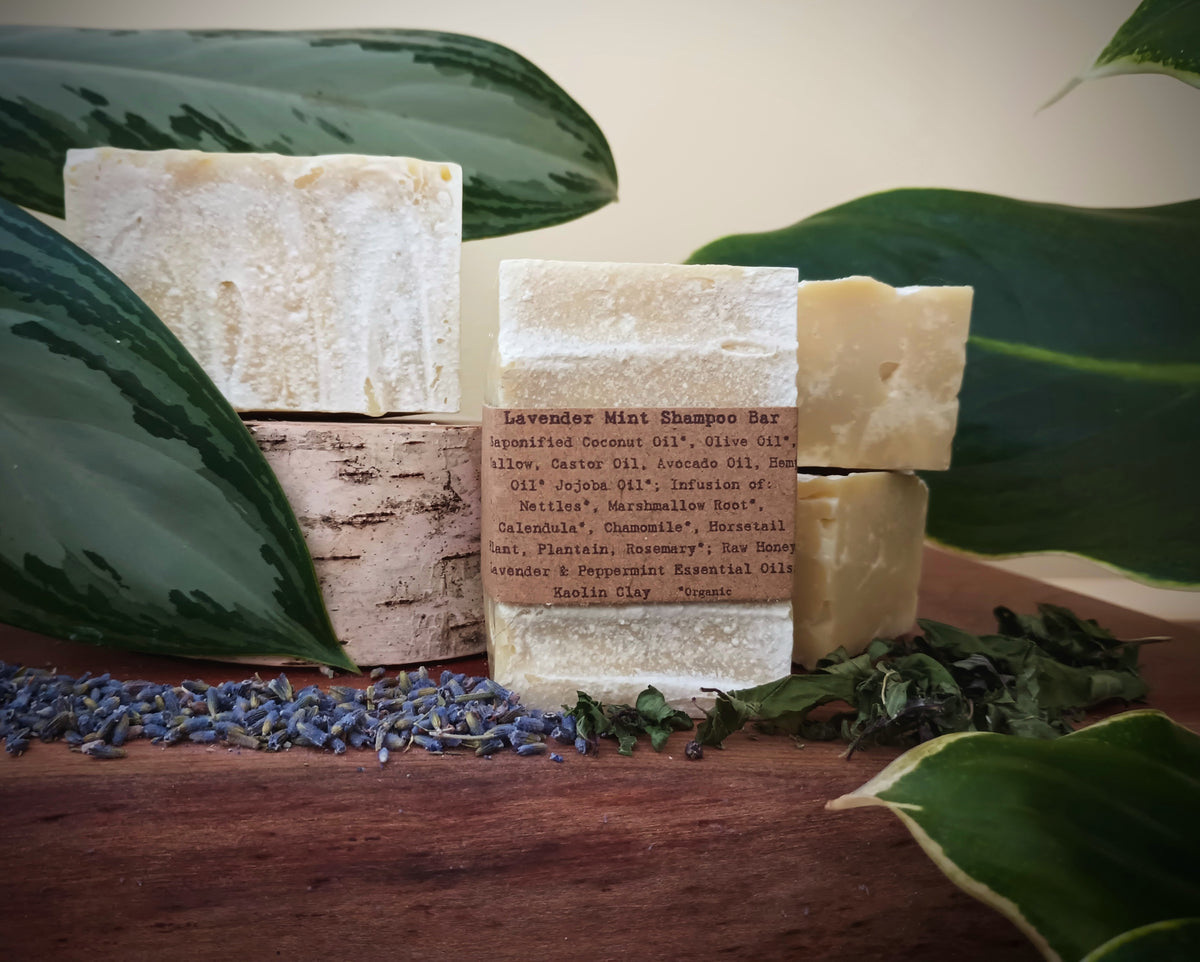 Lavender Mint Shampoo bars