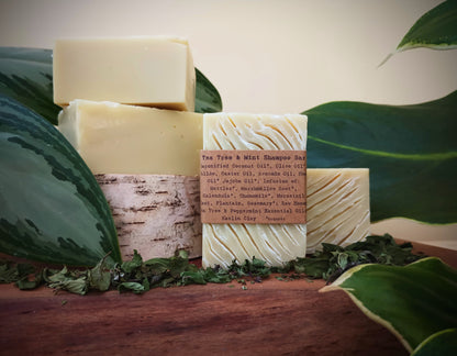 Tea Tree & Mint Shampoo bar from marshmallow farm in New Hampshire